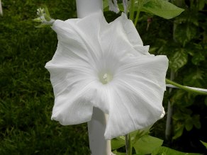 DSCN4574_01