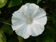 DSCN8922