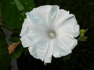 DSCN9335