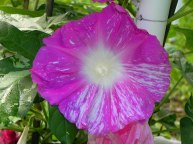 DSCN0290