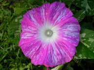 DSCN0291