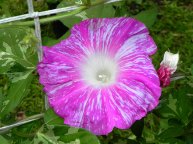 DSCN1116