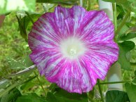 DSCN1117