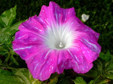 DSCN2199
