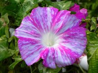 DSCN2791