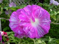 DSCN3280_01