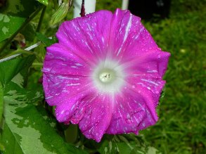 DSCN3757