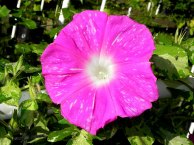 DSCN5463_01