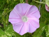 4DSCN0782