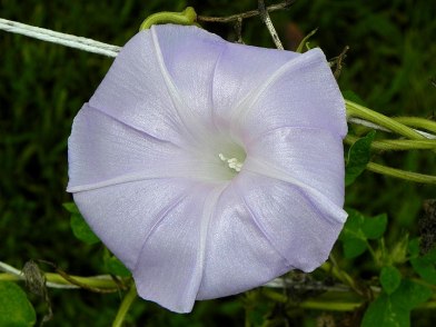 DSCN3702