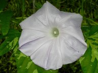 DSCN5606_01