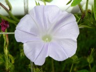 DSCN9622