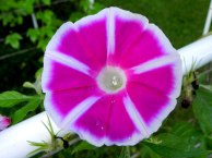 DSCN4922_01