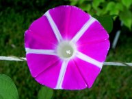 DSCN5111_01