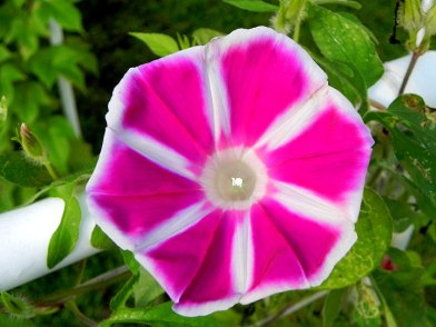 DSCN5320