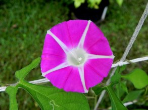 DSCN5433_01