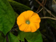 8-DSCN1171