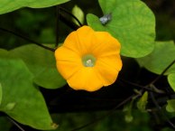 8-DSCN1764