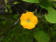 8-DSCN1765