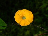 8-DSCN2202