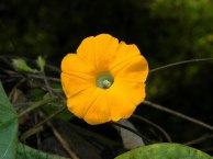 8-DSCN3233
