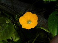 8-DSCN3252