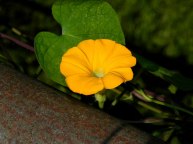 8-DSCN4421_01