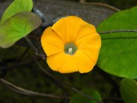 8-DSCN4431_01