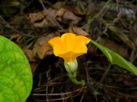 8-DSCN4433_01