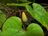 8-DSCN4435_01