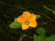 8-DSCN4489