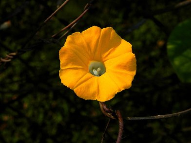 8-DSCN4826_01