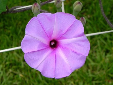 1DSCN9278