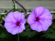 5DSCN3741