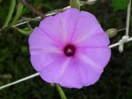 6DSCN0271