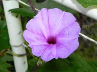 DSCN0144