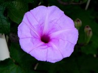 DSCN0269