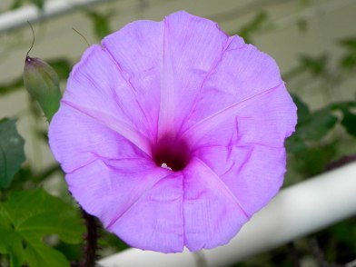 DSCN0270