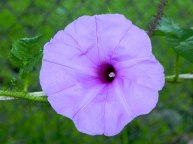 DSCN0522