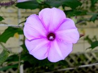 DSCN0612