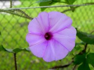 DSCN0771