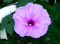 DSCN0801
