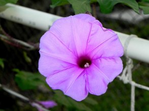 DSCN1372