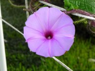 DSCN2182