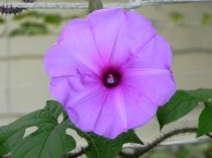 DSCN2281