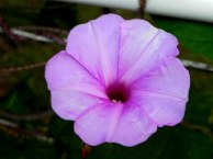 DSCN2335