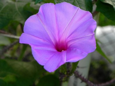DSCN3240