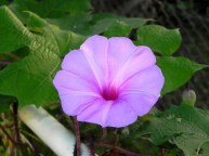 DSCN3284_01