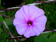 DSCN3693