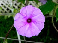 DSCN8420